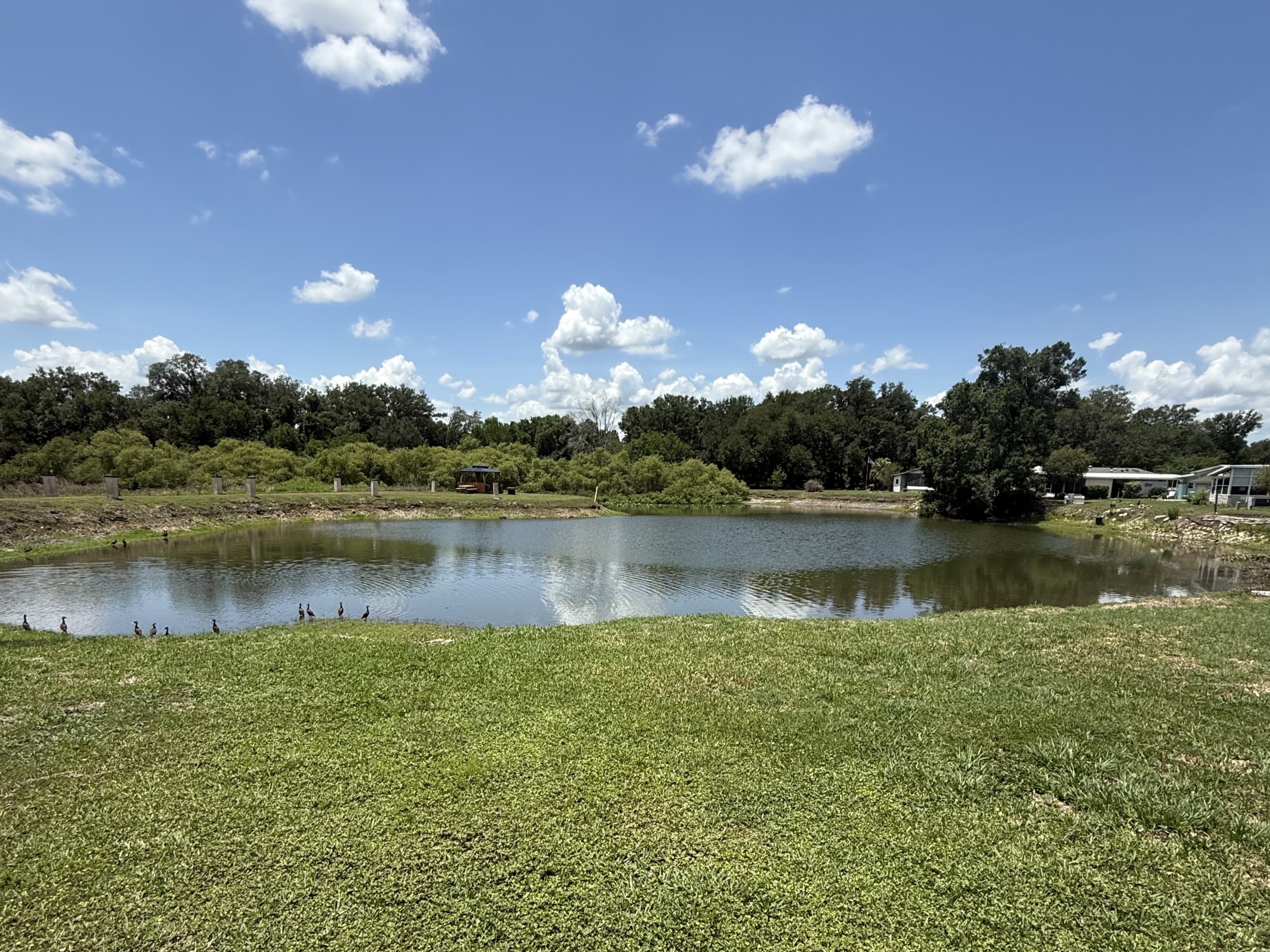 37602 Pompano Court, Zephyrhills, Florida 33541, 2 Bedrooms Bedrooms, ,2 BathroomsBathrooms,55-Plus Mobile Home,For Sale,Pompano Court,4876