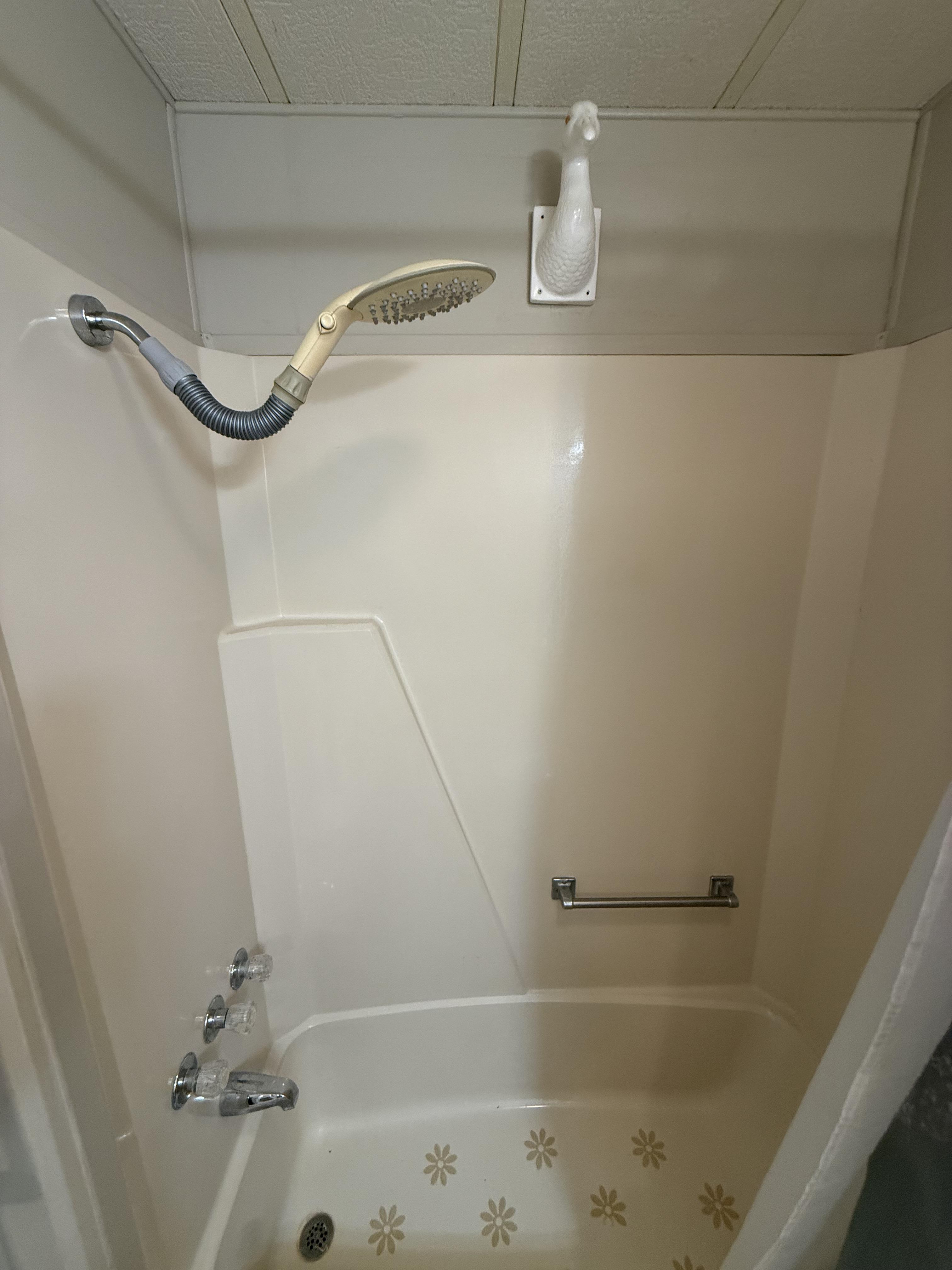 37602 Pompano Court, Zephyrhills, Florida 33541, 2 Bedrooms Bedrooms, ,2 BathroomsBathrooms,55-Plus Mobile Home,For Sale,Pompano Court,4876