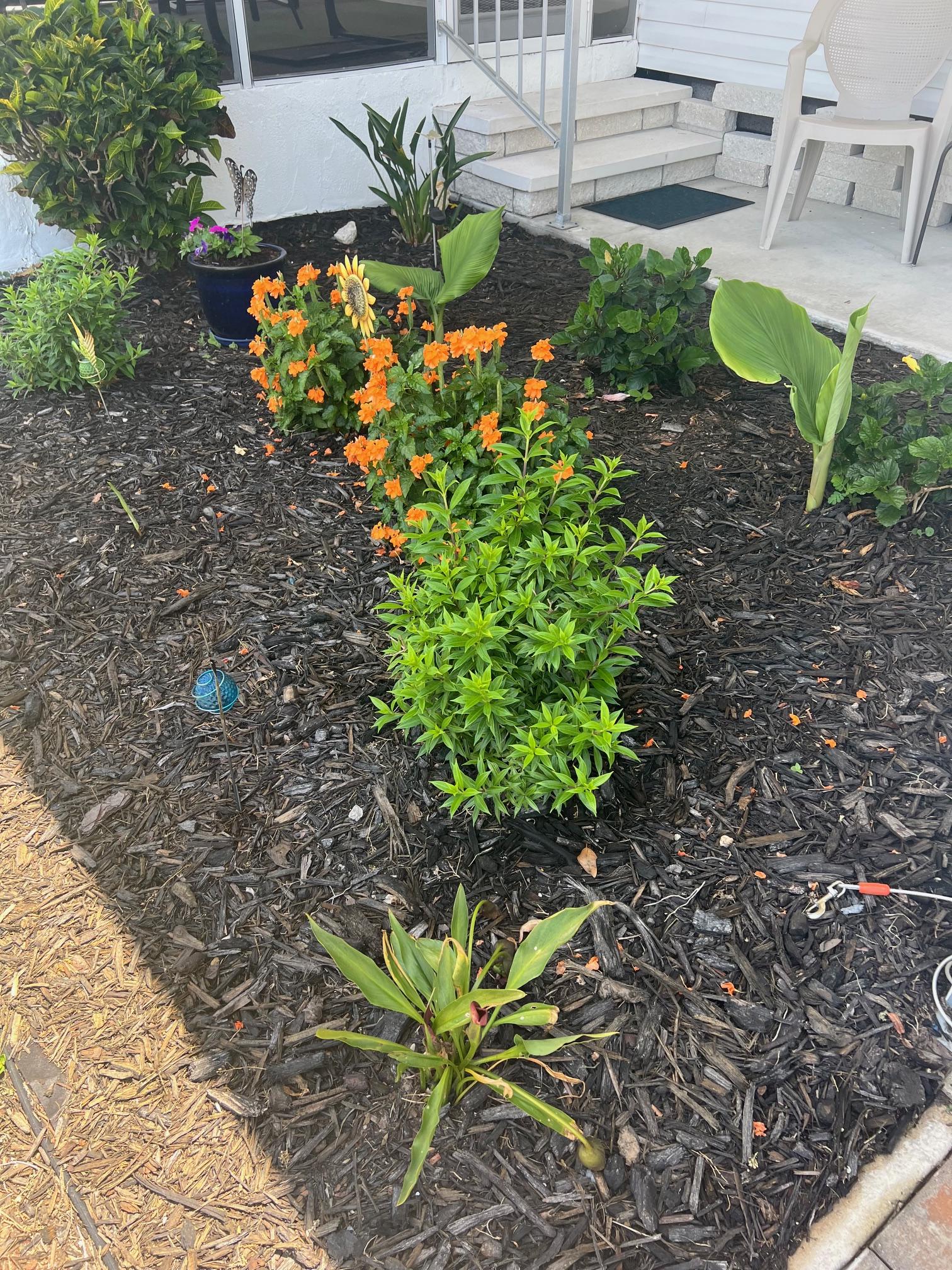 5700 Bayshore Rd, Lot 542, Palmetto, Florida 34221, 2 Bedrooms Bedrooms, ,2 BathroomsBathrooms,55-Plus Mobile Home,For Sale,Bayshore Rd, Lot 542,4877
