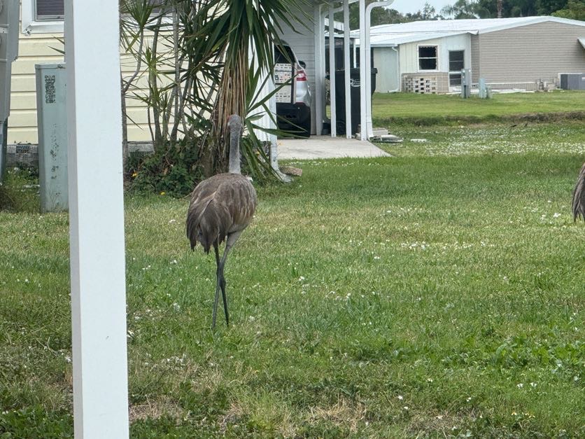 7327 Westwood Drive, Ellenton, Florida 34222, 3 Bedrooms Bedrooms, ,2 BathroomsBathrooms,55-Plus Mobile Home,For Sale,Westwood Drive,4883
