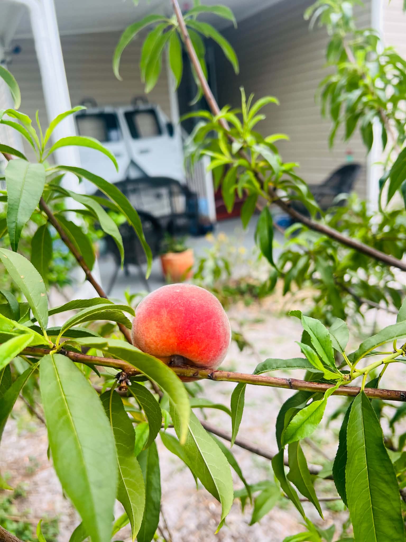 7501 142nd Ave N, Lot 659, Largo, Florida 33771, 4 Bedrooms Bedrooms, ,2 BathroomsBathrooms,All - Age Mobile Home,For Sale,142nd Ave N, Lot 659,4885