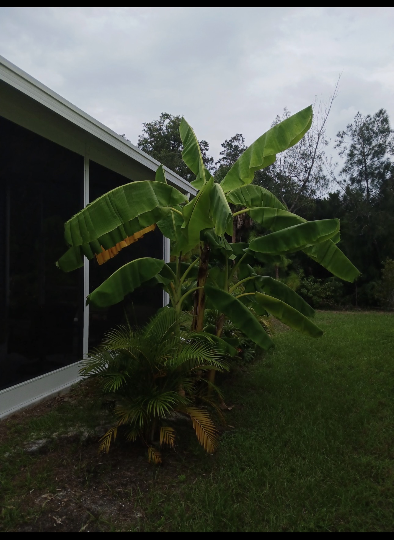 2072 Casita Dr, Sarasota, Florida 34234, 2 Bedrooms Bedrooms, ,2 BathroomsBathrooms,55-Plus Mobile Home,For Sale,Casita Dr,4886