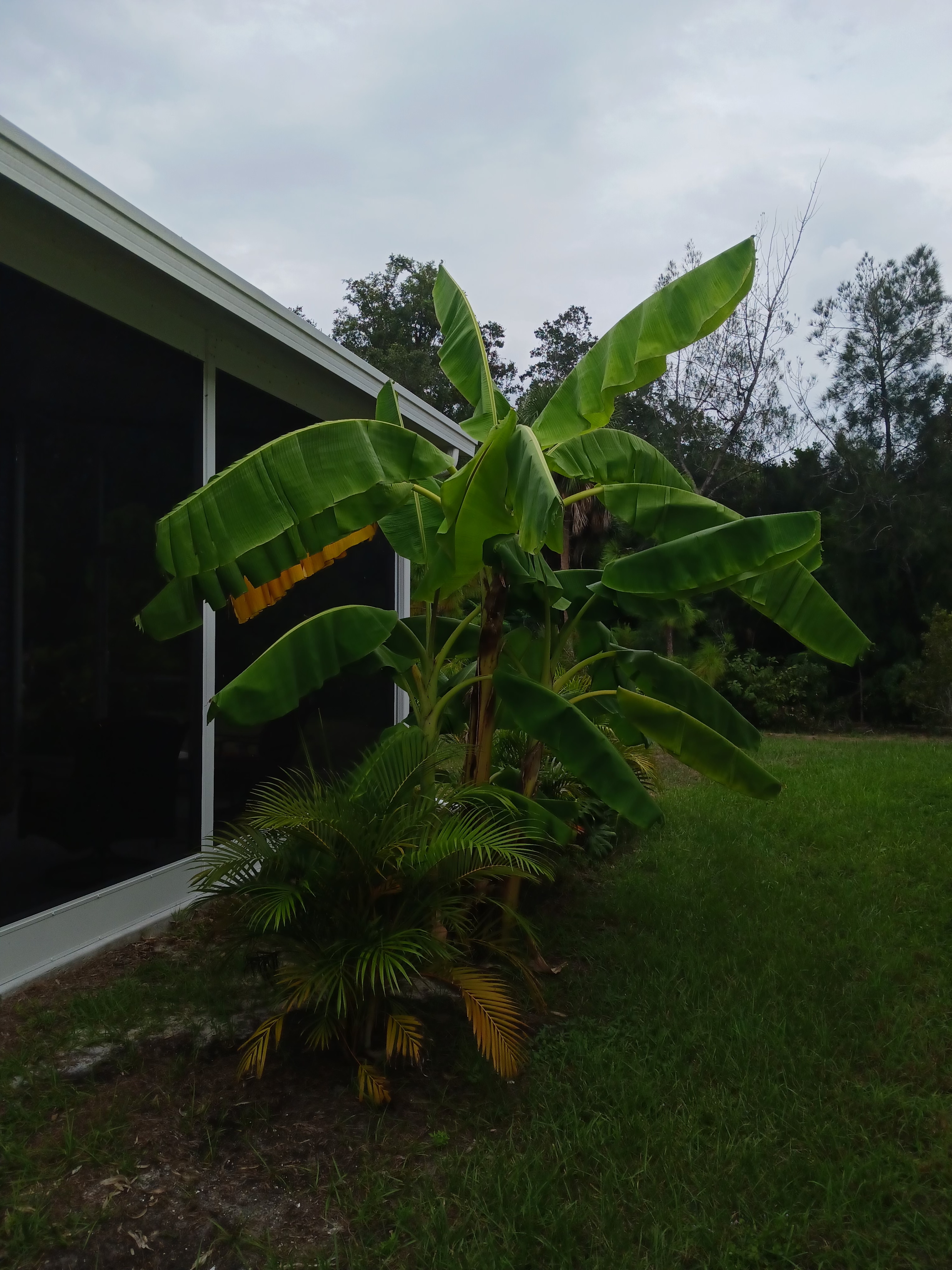 2072 Casita Dr, Sarasota, Florida 34234, 2 Bedrooms Bedrooms, ,2 BathroomsBathrooms,55-Plus Mobile Home,For Sale,Casita Dr,4889