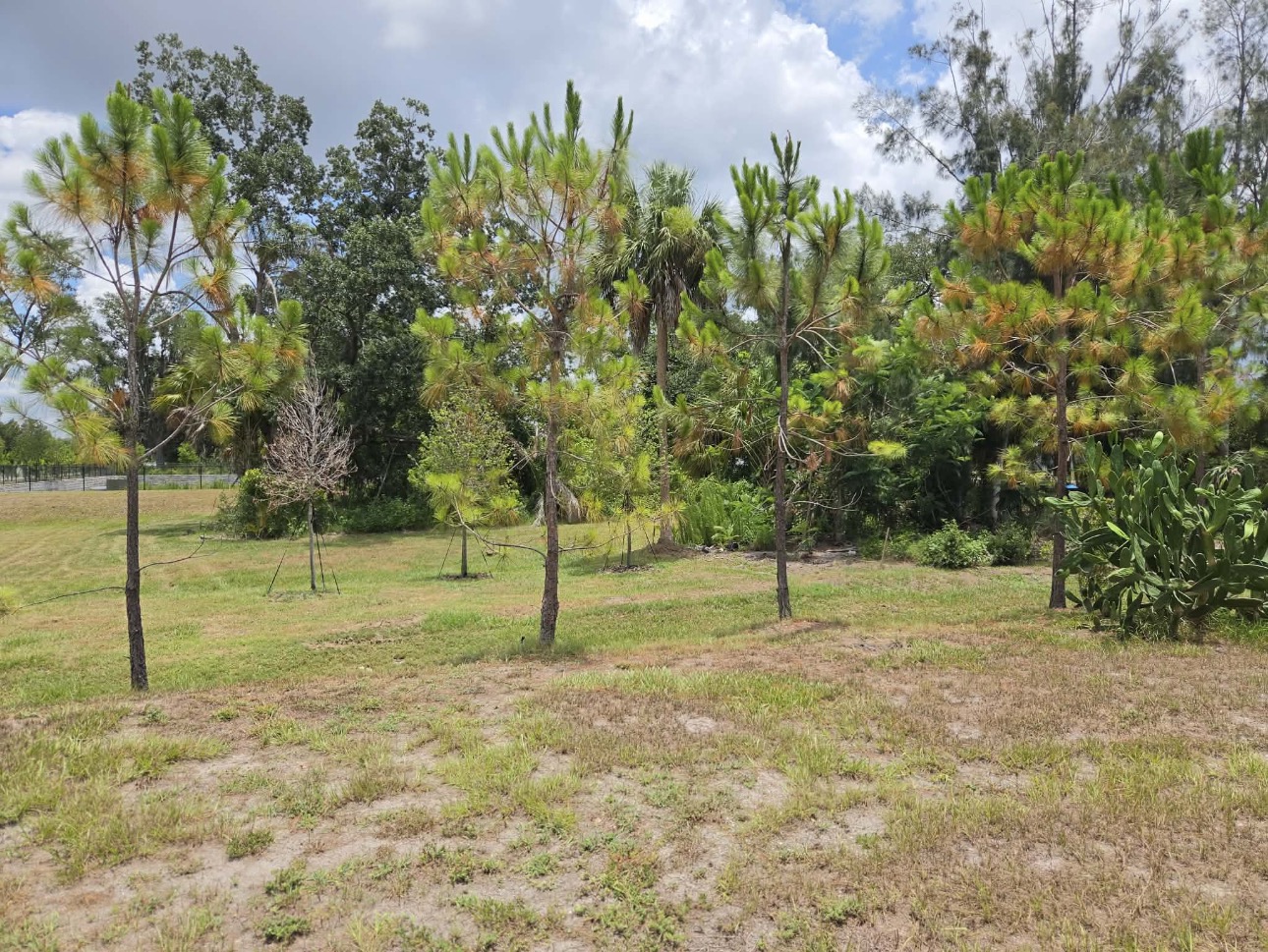 2072 Casita Dr, Sarasota, Florida 34234, 2 Bedrooms Bedrooms, ,2 BathroomsBathrooms,55-Plus Mobile Home,For Sale,Casita Dr,4889