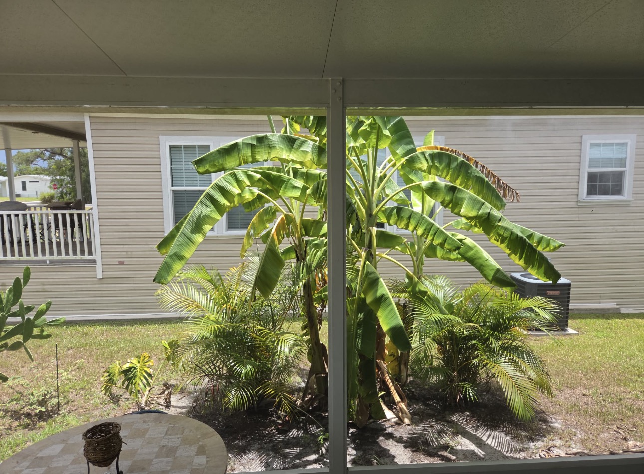 2072 Casita Dr, Sarasota, Florida 34234, 2 Bedrooms Bedrooms, ,2 BathroomsBathrooms,55-Plus Mobile Home,For Sale,Casita Dr,4889