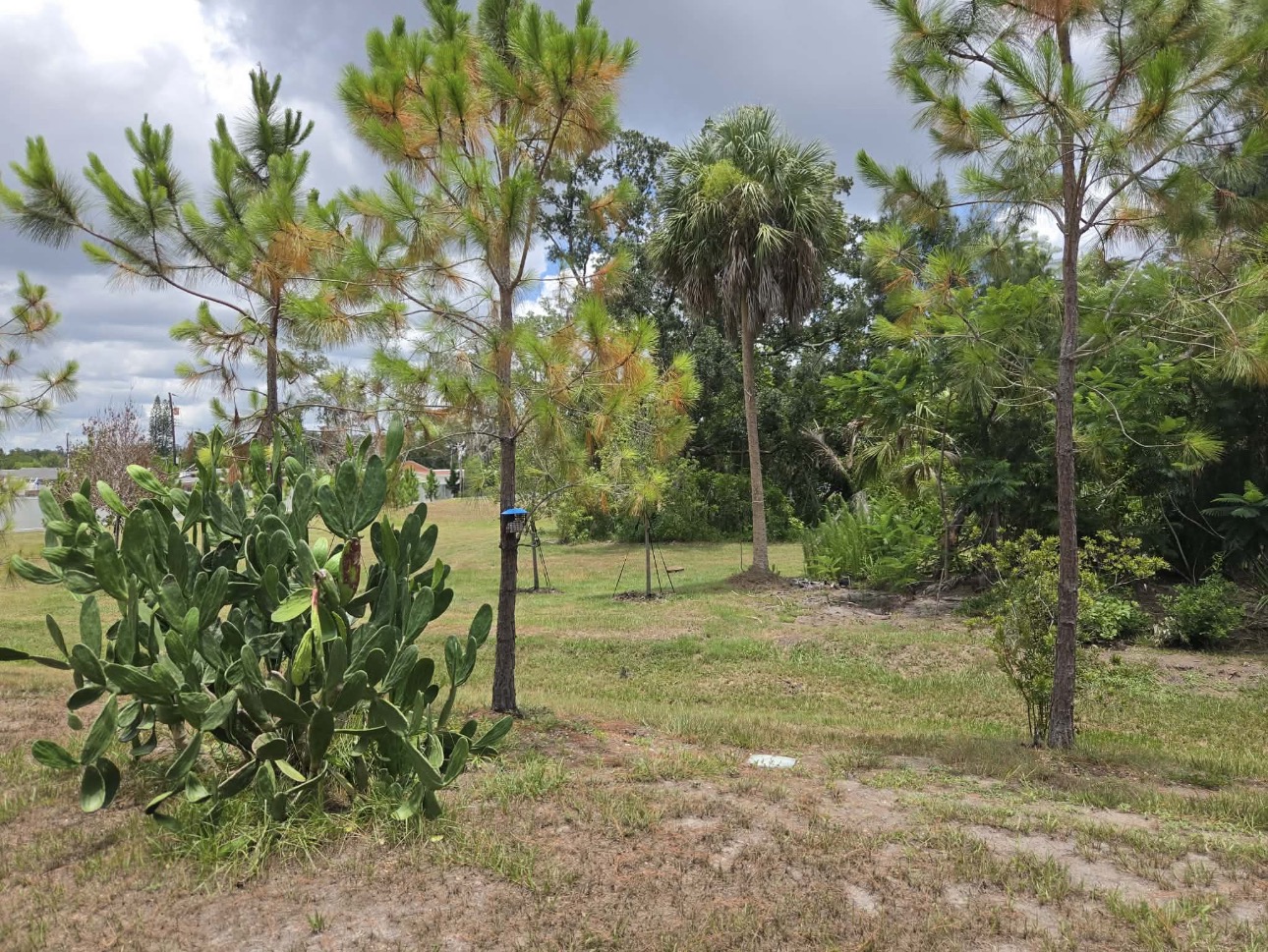 2072 Casita Dr, Sarasota, Florida 34234, 2 Bedrooms Bedrooms, ,2 BathroomsBathrooms,55-Plus Mobile Home,For Sale,Casita Dr,4889