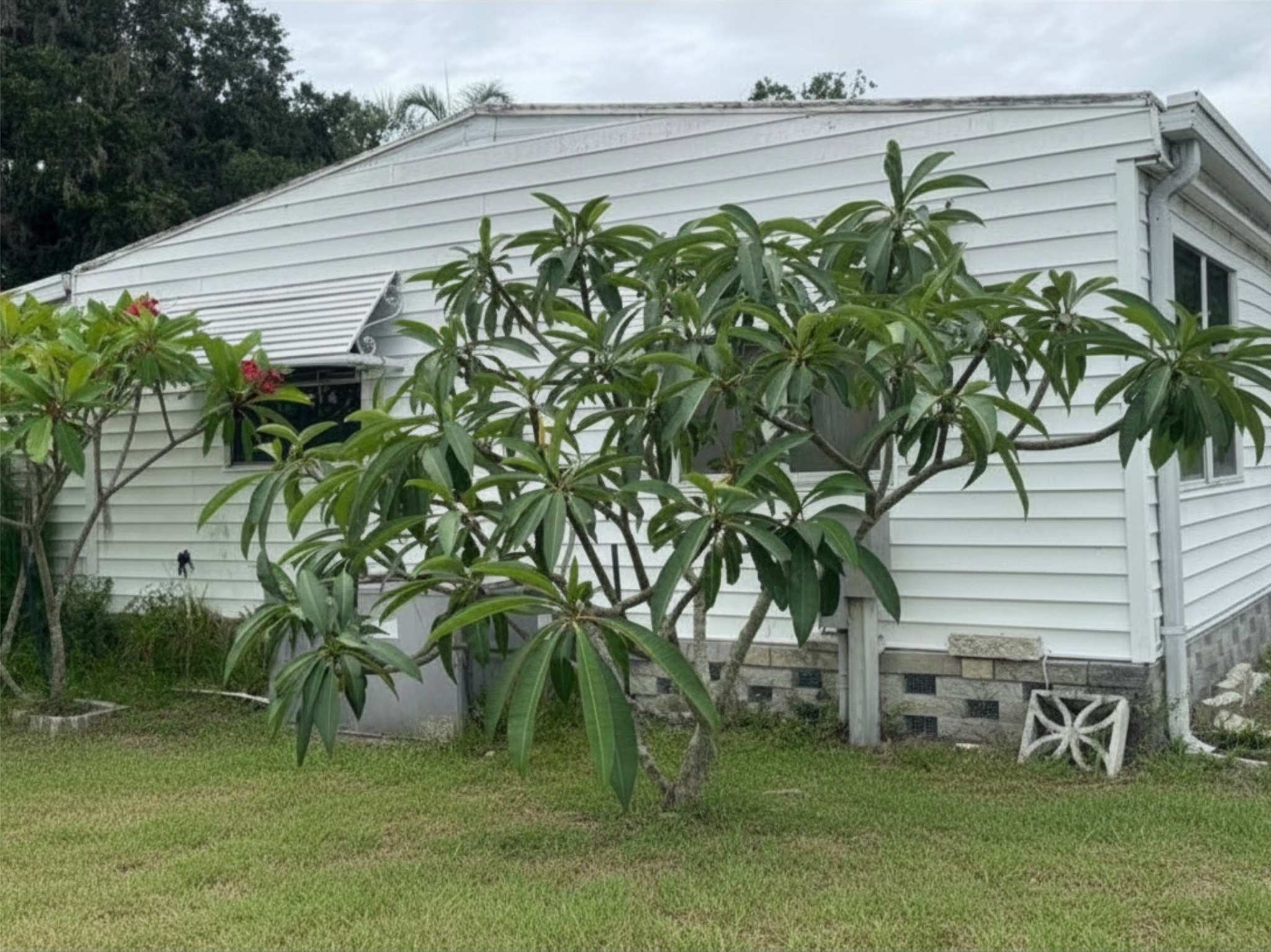 168 Poinciana Dr, Ellenton, Florida 34222, 2 Bedrooms Bedrooms, ,2 BathroomsBathrooms,55-Plus Mobile Home,For Sale,Poinciana Dr,4906