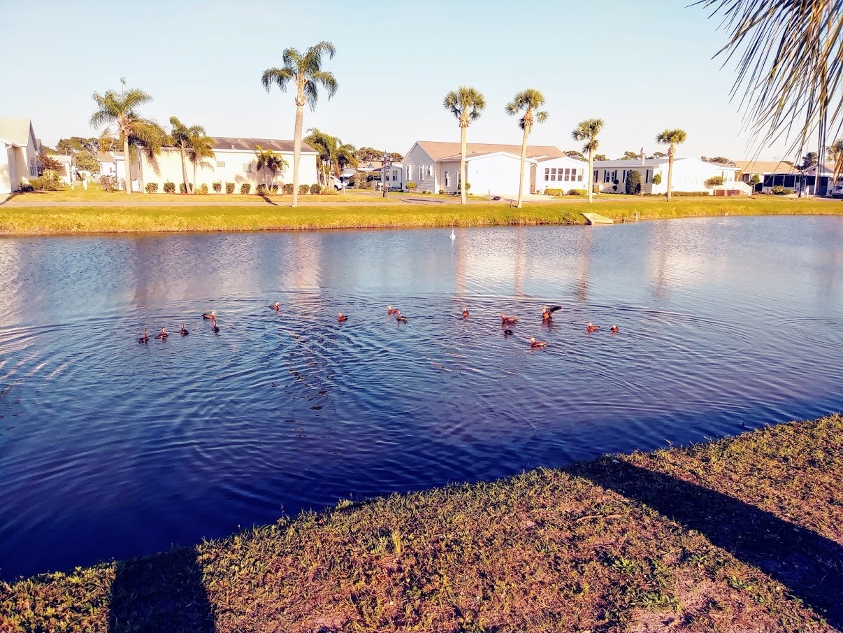 937 Antigua Ave W, Venice, Florida 34285, 3 Bedrooms Bedrooms, ,2 BathroomsBathrooms,55-Plus Mobile Home,For Sale,Antigua Ave W,4922