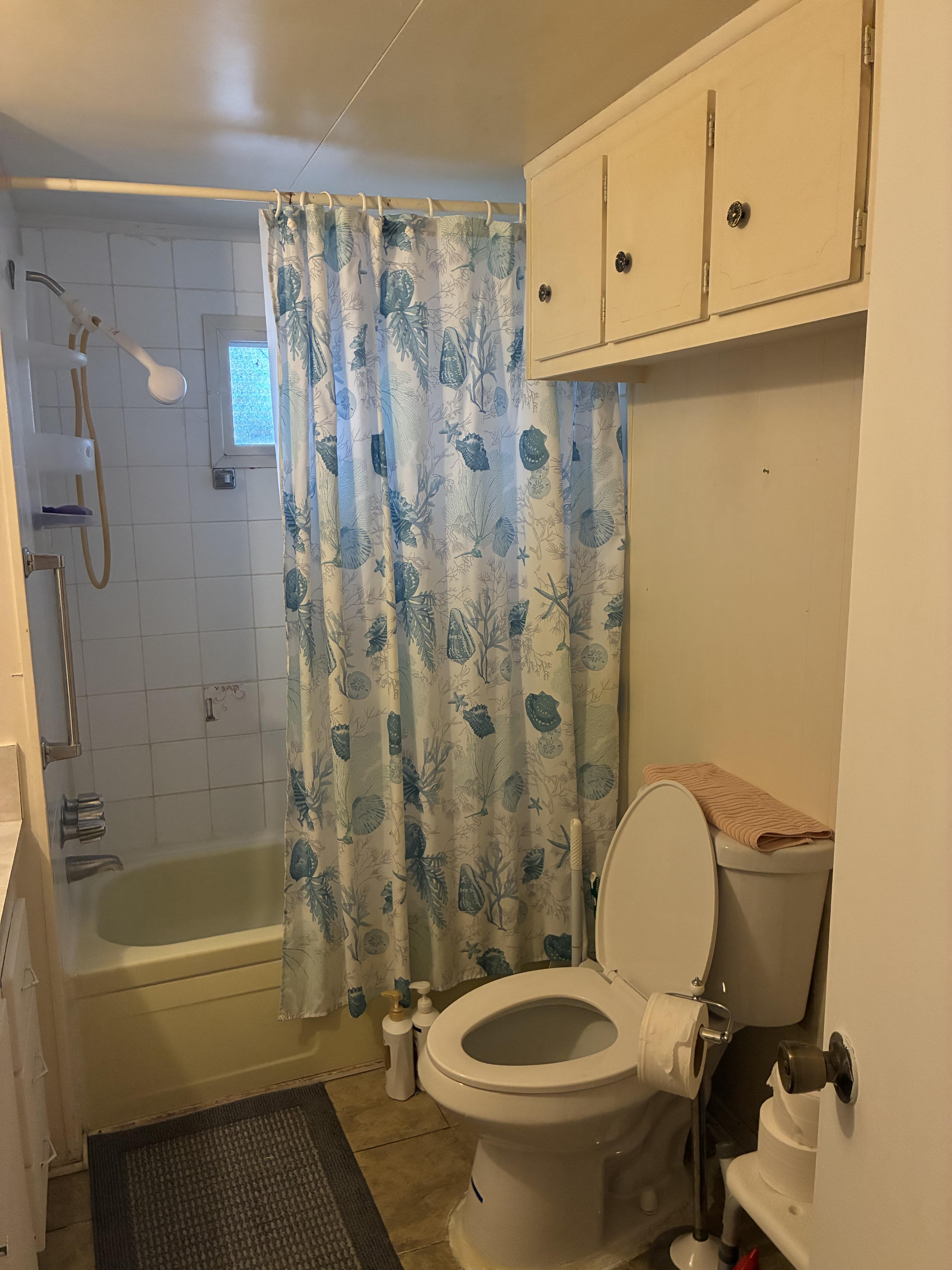 5757 66th St N, Lot 171, St Petersburg, Florida 33709, 3 Bedrooms Bedrooms, ,2 BathroomsBathrooms,55-Plus Mobile Home,For Sale,66th St N, Lot 171,4928