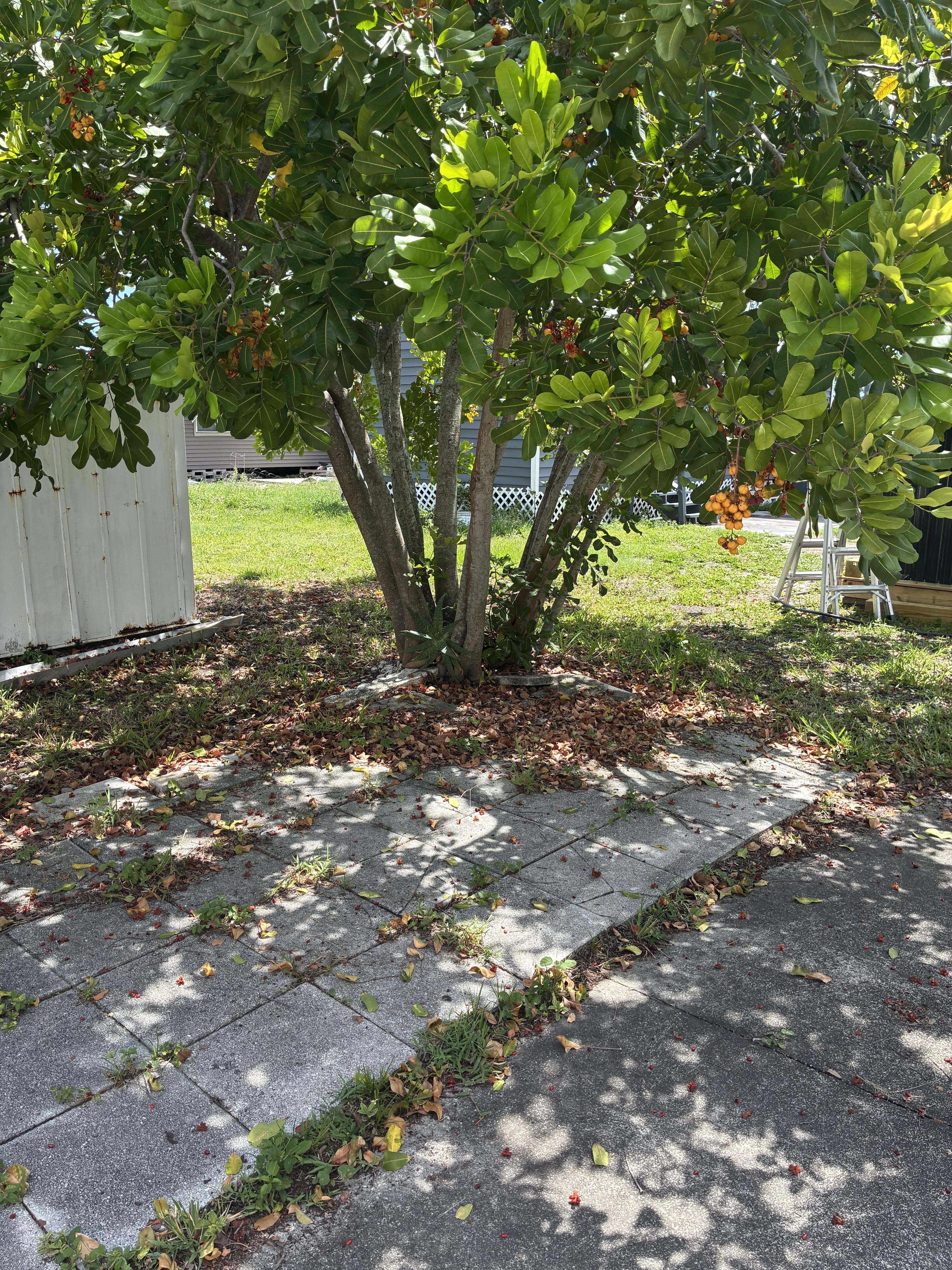 5757 66th St N, Lot 171, St Petersburg, Florida 33709, 3 Bedrooms Bedrooms, ,2 BathroomsBathrooms,55-Plus Mobile Home,For Sale,66th St N, Lot 171,4928