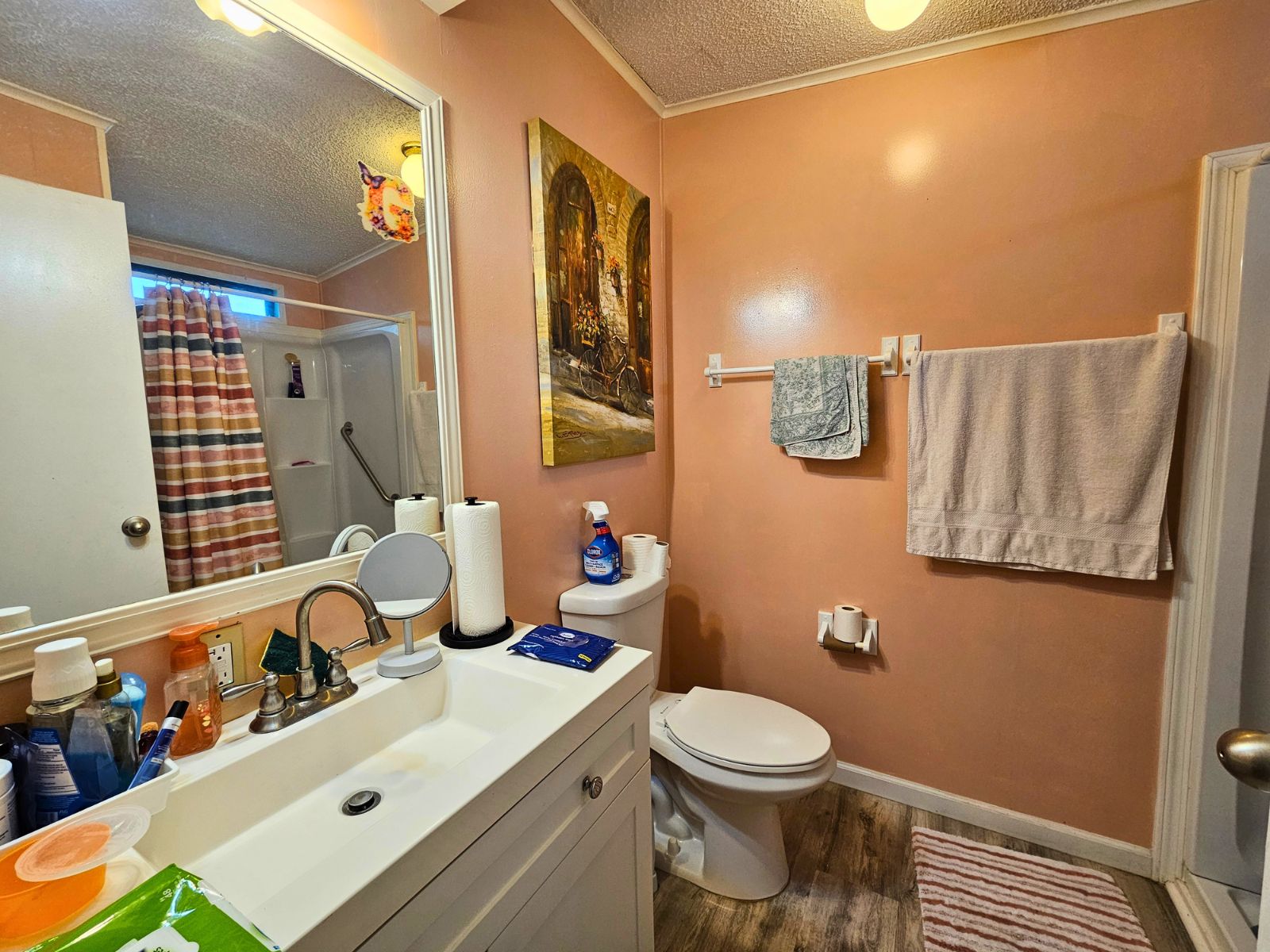 310 Pridgeon St, Lakeland, Florida 33813, 2 Bedrooms Bedrooms, ,2 BathroomsBathrooms,55-Plus Mobile Home,For Sale,Pridgeon St,4940