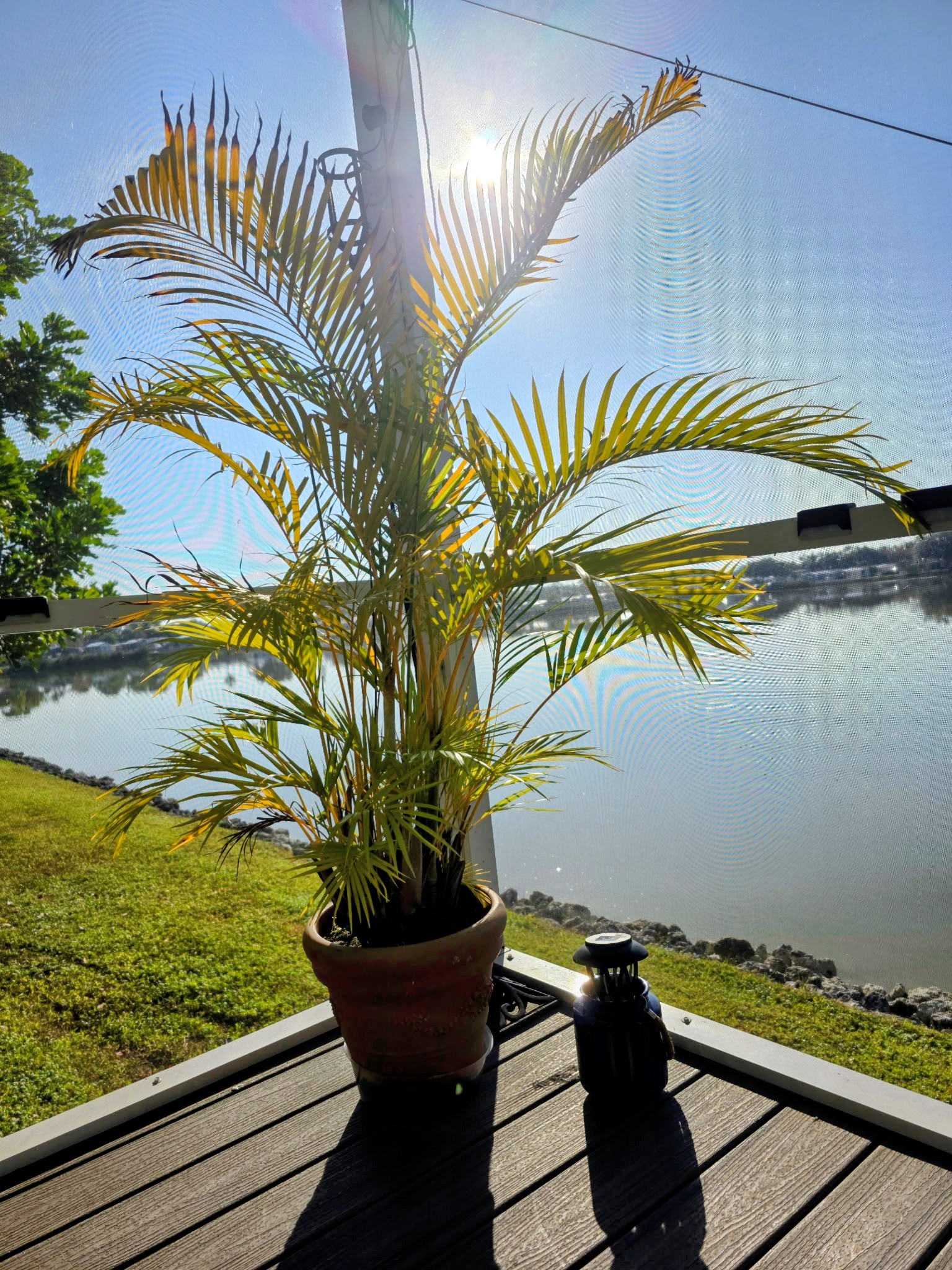 6633 53rd Ave E, Lot C13, Bradenton, Florida 34203, 1 Bedroom Bedrooms, ,1 BathroomBathrooms,55-Plus Mobile Home,For Sale,53rd Ave E, Lot C13,4957