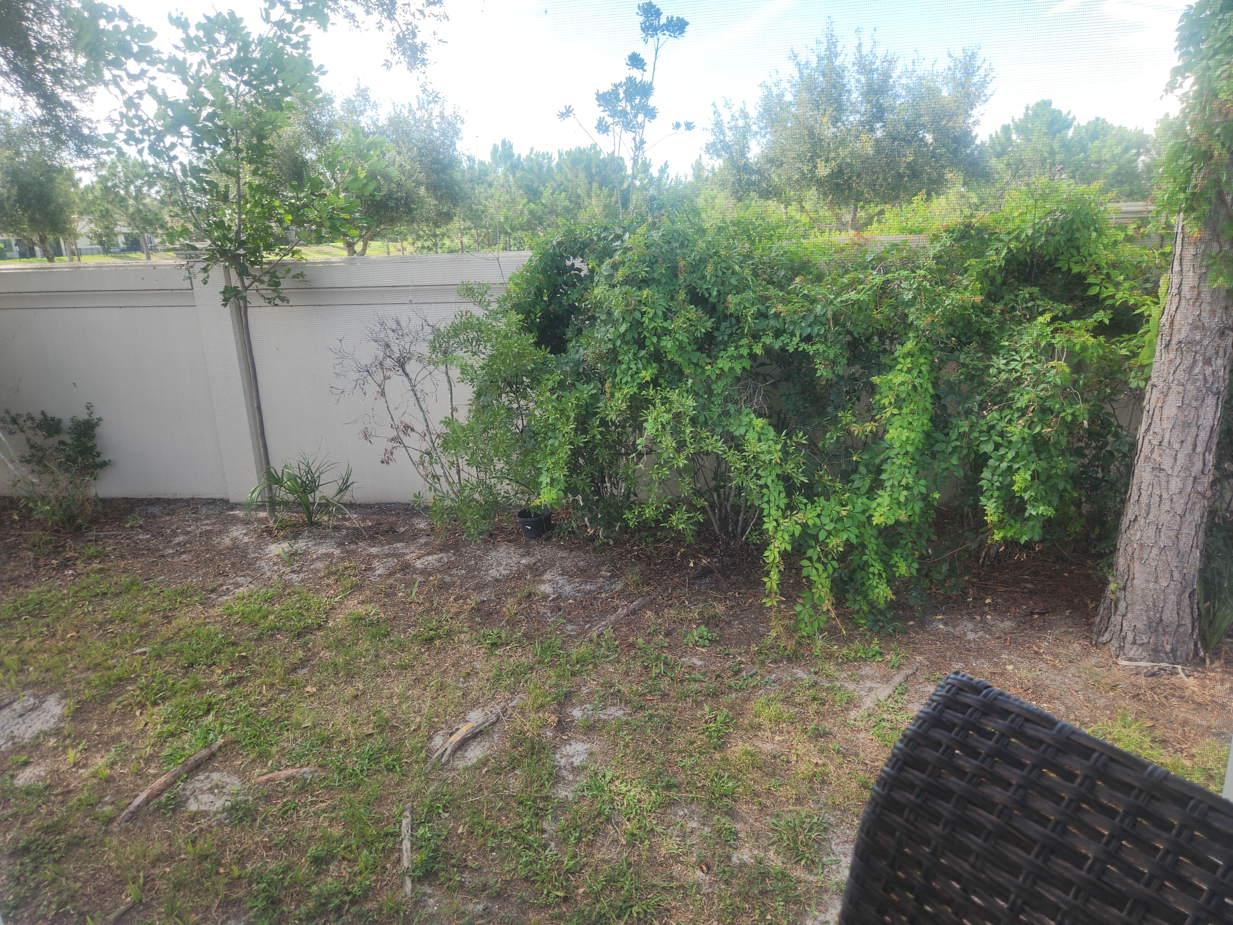 6633 53rd Ave E, Lot C106, Bradenton, Florida 34203, 2 Bedrooms Bedrooms, ,1 BathroomBathrooms,55-Plus Mobile Home,For Sale,53rd Ave E, Lot C106,4967