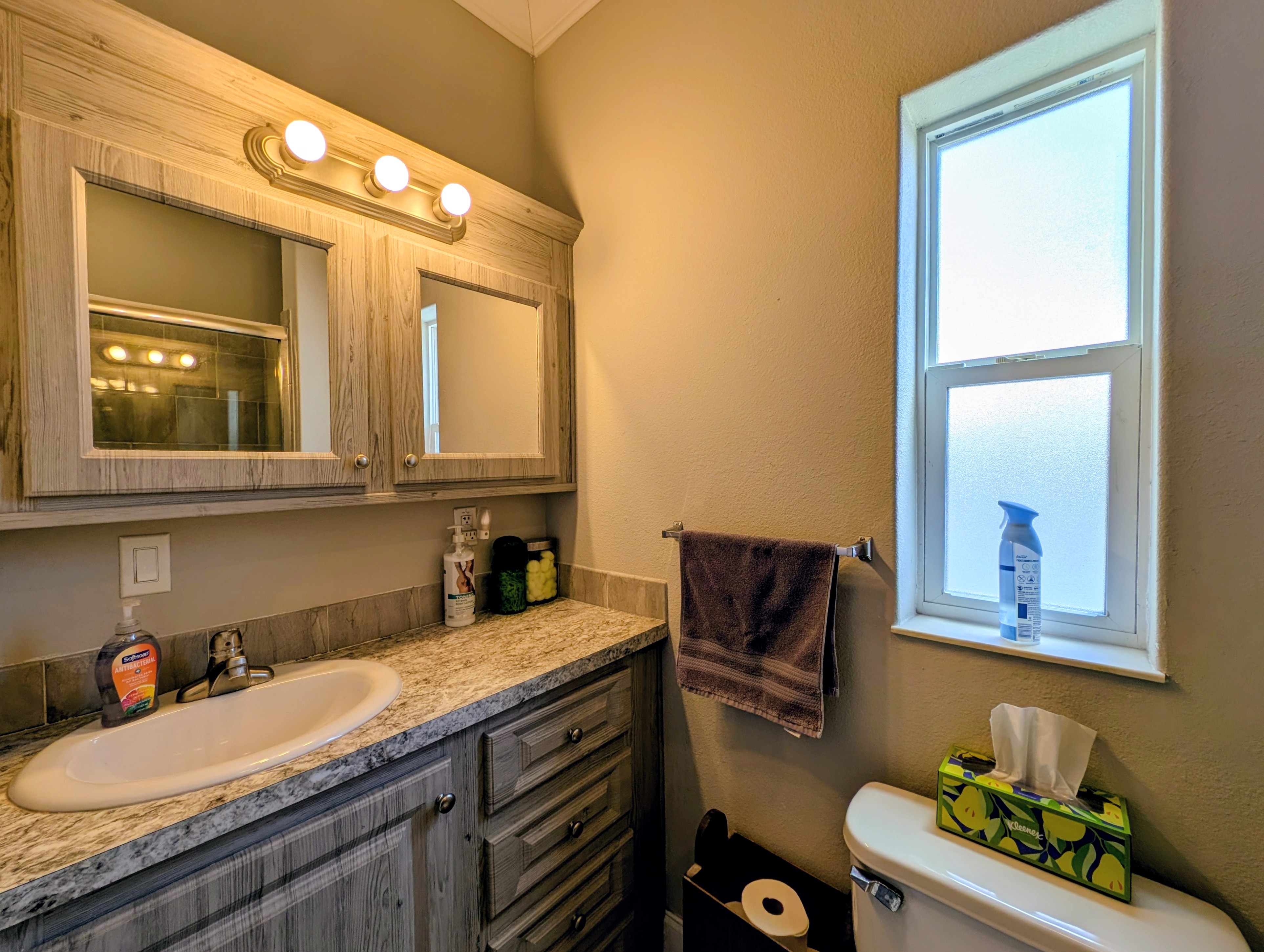 2206 Chaney Dr, Lot 212, Ruskin, Florida 33570, 1 Bedroom Bedrooms, ,1 BathroomBathrooms,55-Plus Mobile Home,For Sale,Chaney Dr, Lot 212,4971