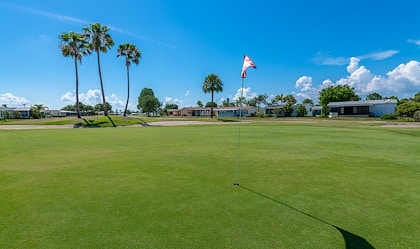 3929 Dockers Dr, Ruskin, Florida 33570, 3 Bedrooms Bedrooms, ,2 BathroomsBathrooms,55-Plus Mobile Home,For Sale,Dockers Dr,4983