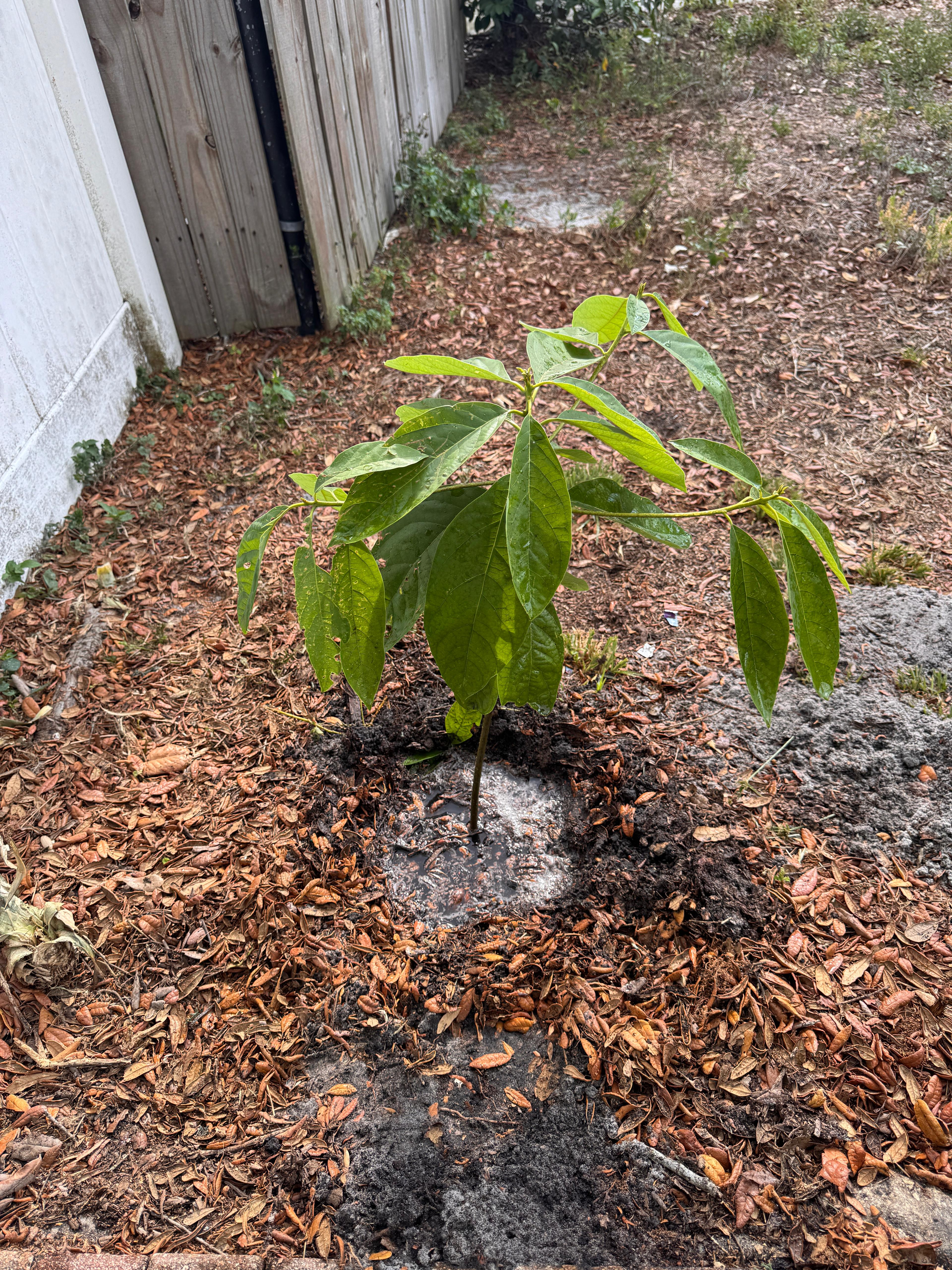 3503 58th Ave N, Lot 104, St Petersburg, Florida 33714, 1 Bedroom Bedrooms, ,1 BathroomBathrooms,55-Plus Mobile Home,For Sale,58th Ave N, Lot 104,4999