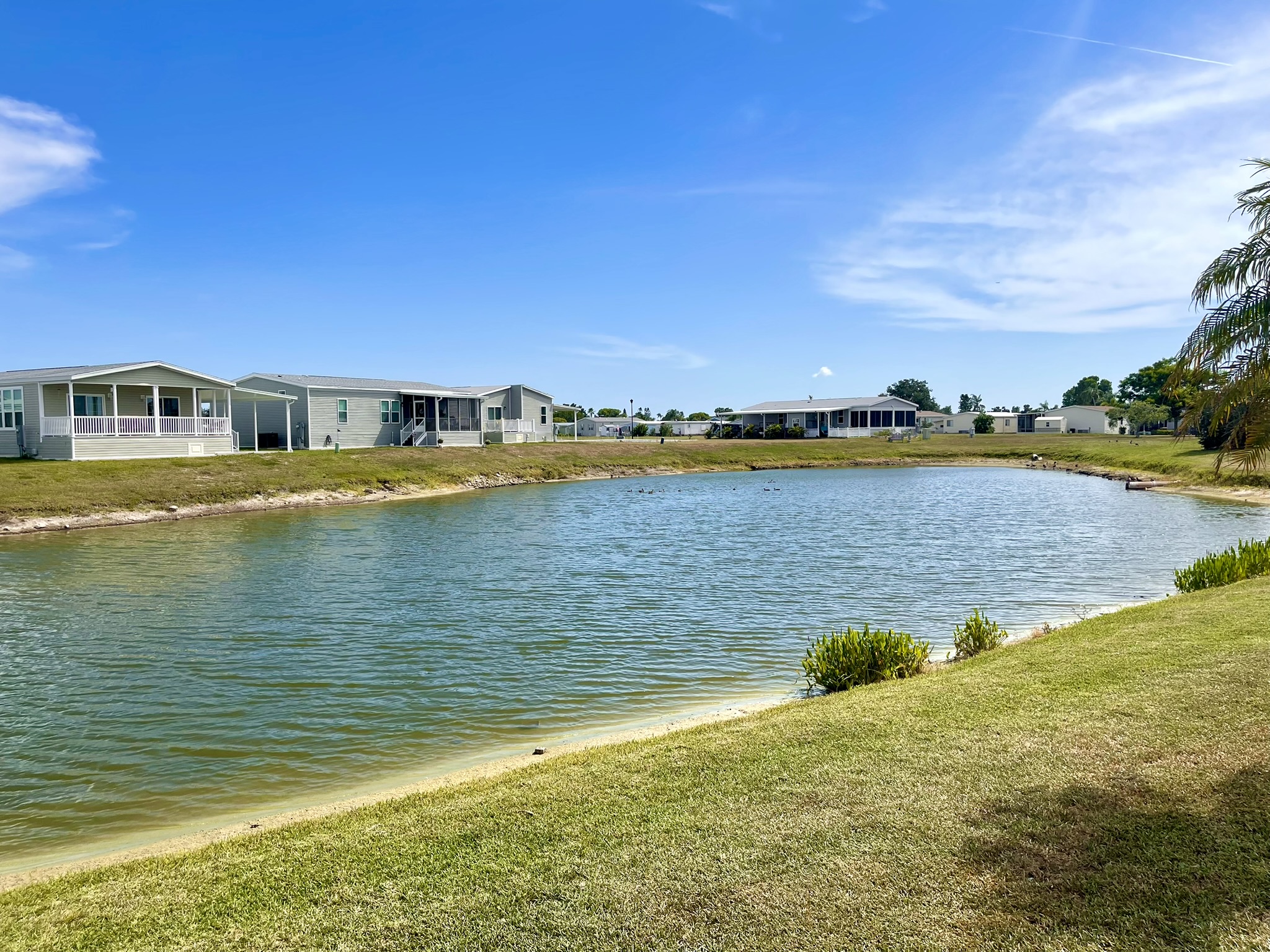 7703 Laurel Way, Ellenton, Florida 34222, 2 Bedrooms Bedrooms, ,2 BathroomsBathrooms,55-Plus Mobile Home,For Sale,Laurel Way,5003