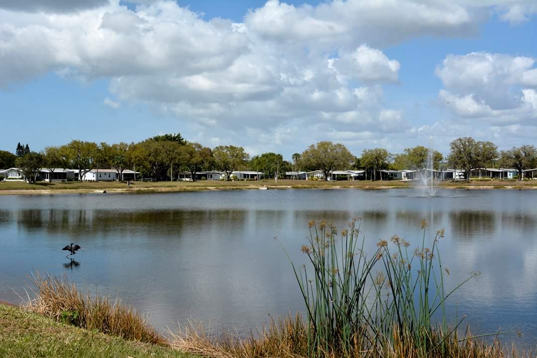 6413 Ravenglass Way, Lot 218, Sarasota, Florida 34241, 2 Bedrooms Bedrooms, ,2 BathroomsBathrooms,55-Plus Mobile Home,For Sale,Ravenglass Way, Lot 218,5004