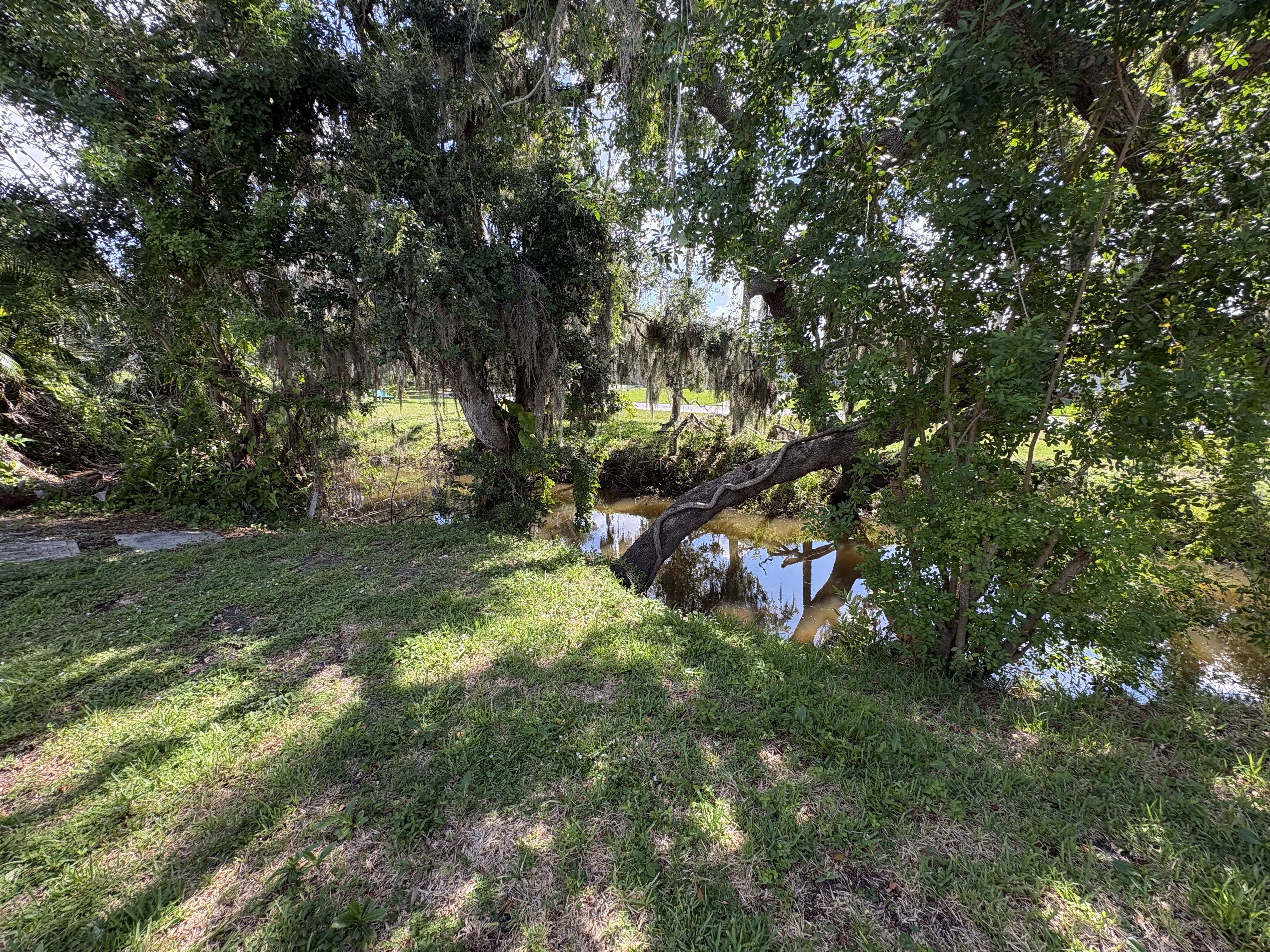 335 Alkmaar St, Ellenton, Florida 34222, 3 Bedrooms Bedrooms, ,2 BathroomsBathrooms,55-Plus Mobile Home,For Sale,Alkmaar St,5007