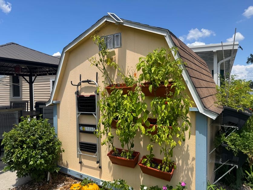 6633 53rd Ave E, Lot B19, Bradenton, Florida 34203, 1 Bedroom Bedrooms, ,1 BathroomBathrooms,55-Plus Mobile Home,For Sale,53rd Ave E, Lot B19,5009