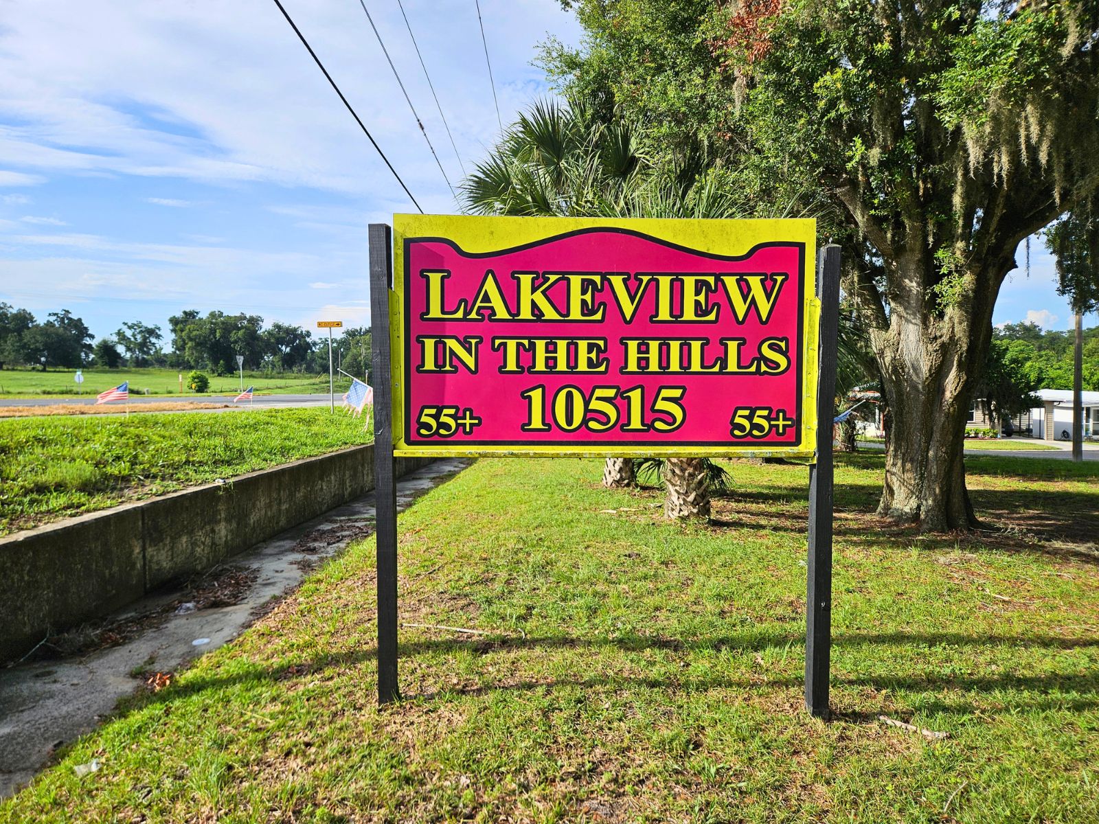 37901 Lake Gilbert Circle, Dade City, Florida 33525, 3 Bedrooms Bedrooms, ,2 BathroomsBathrooms,55-Plus Mobile Home,For Sale,Lake Gilbert Circle,5019