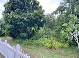 100 Hampton Rd, Lot 231, Clearwater, Florida 33759, 2 Bedrooms Bedrooms, ,2 BathroomsBathrooms,55-Plus Mobile Home,For Sale,Hampton Rd, Lot 231,5067