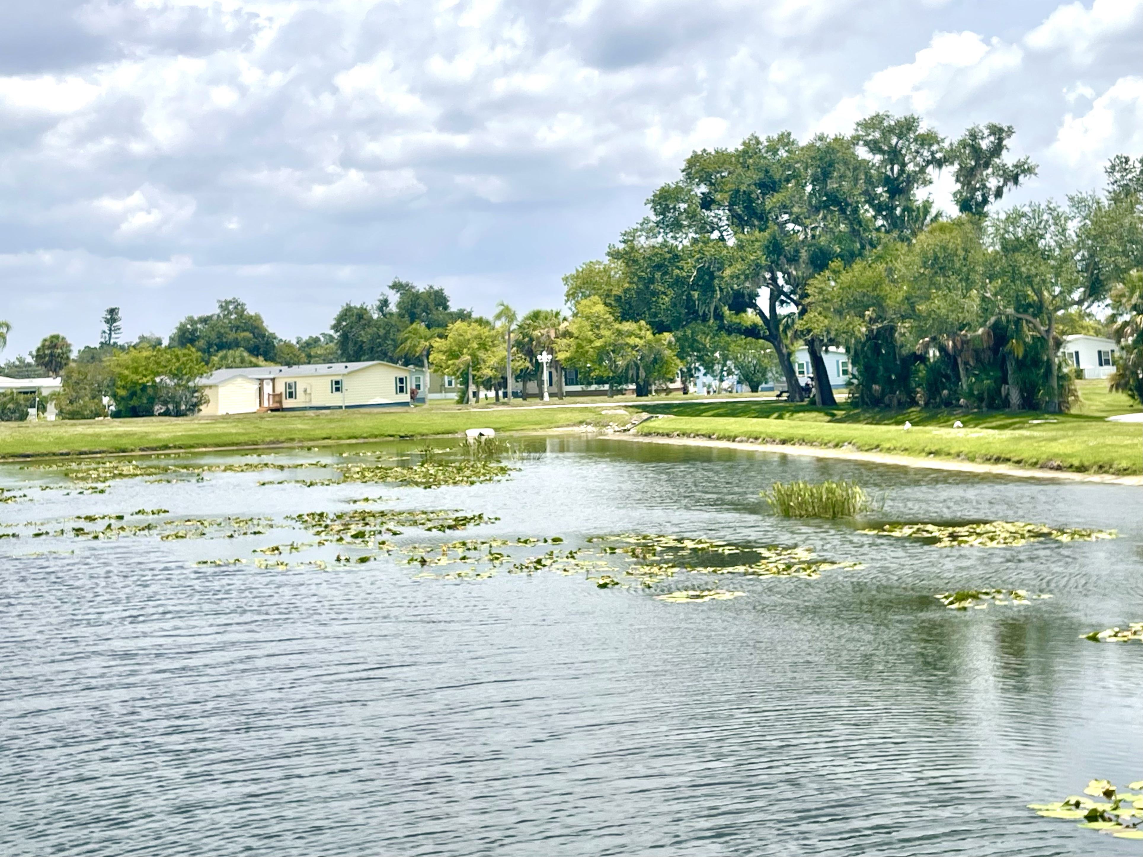 6899 Coconut Grove Circle, Ellenton, Florida 34222, 2 Bedrooms Bedrooms, ,2 BathroomsBathrooms,55-Plus Mobile Home,For Sale,Coconut Grove Circle,5081