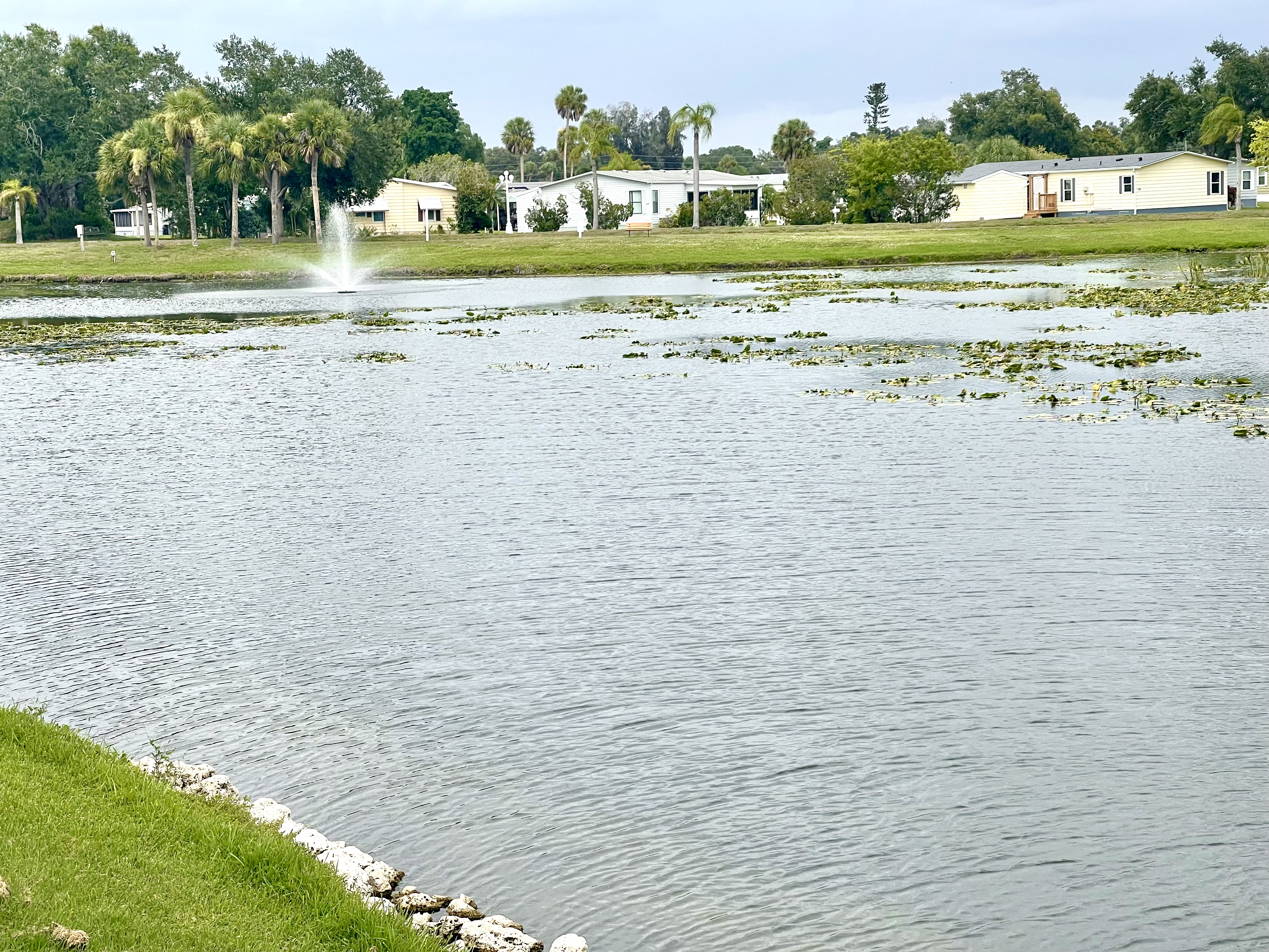 6899 Coconut Grove Circle, Ellenton, Florida 34222, 2 Bedrooms Bedrooms, ,2 BathroomsBathrooms,55-Plus Mobile Home,For Sale,Coconut Grove Circle,5081