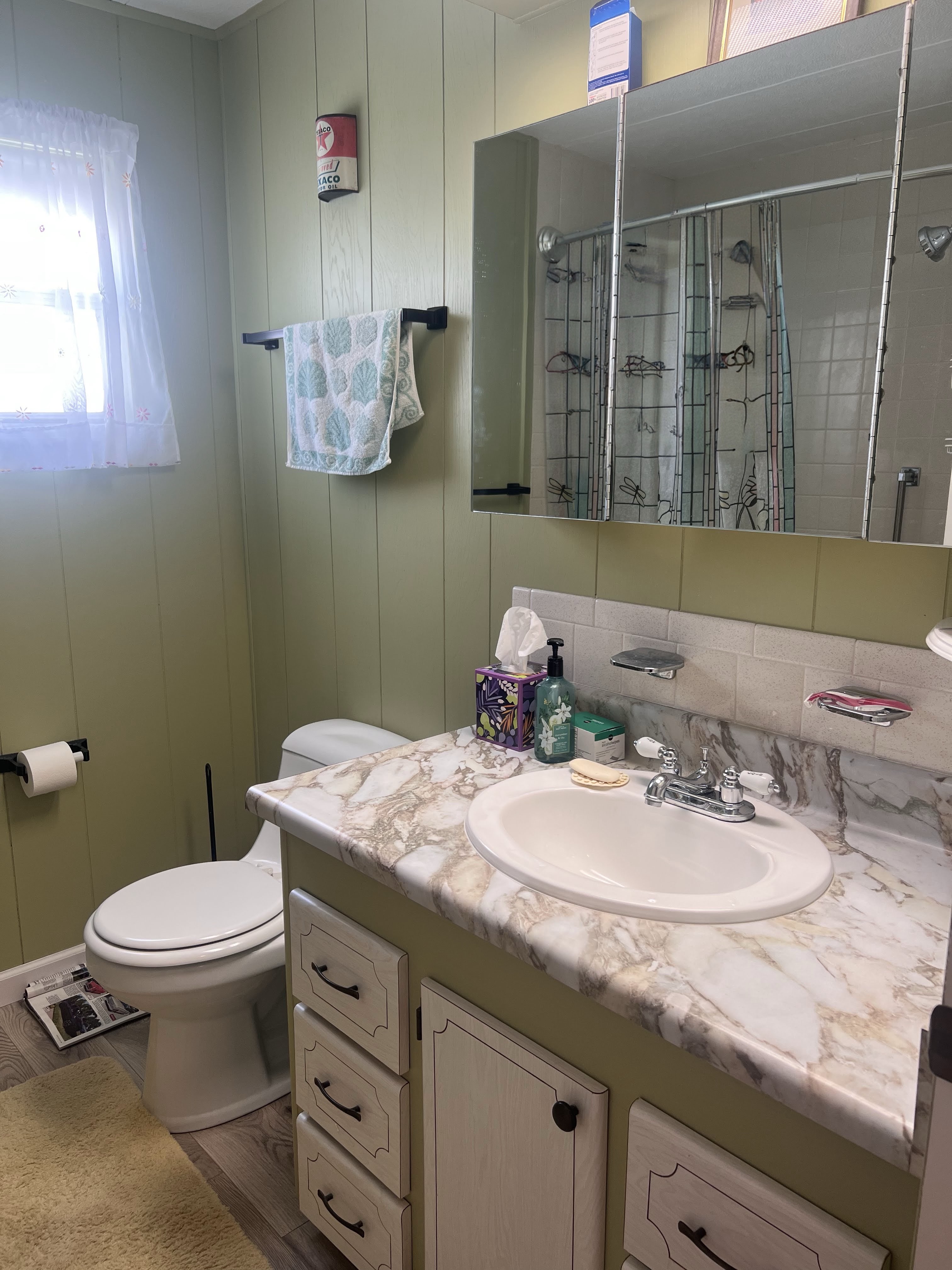 3 Flores Dr, Palmetto, Florida 34221, 2 Bedrooms Bedrooms, ,2 BathroomsBathrooms,55-Plus Mobile Home,For Sale,Flores Dr,5093