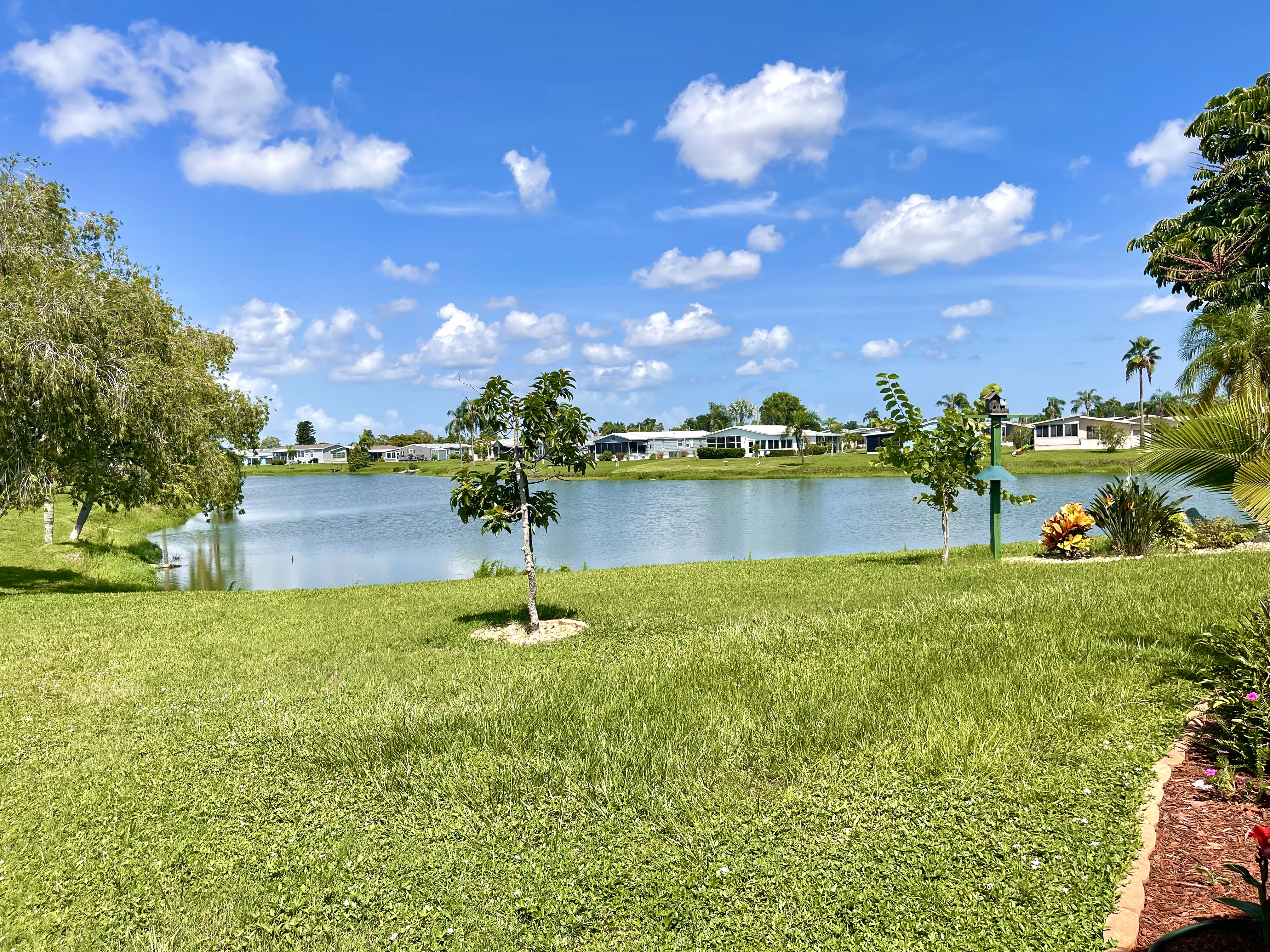 4019 Lemonwood Drive, Ellenton, Florida 34222, 3 Bedrooms Bedrooms, ,2 BathroomsBathrooms,55-Plus Mobile Home,For Sale,Lemonwood Drive,5101