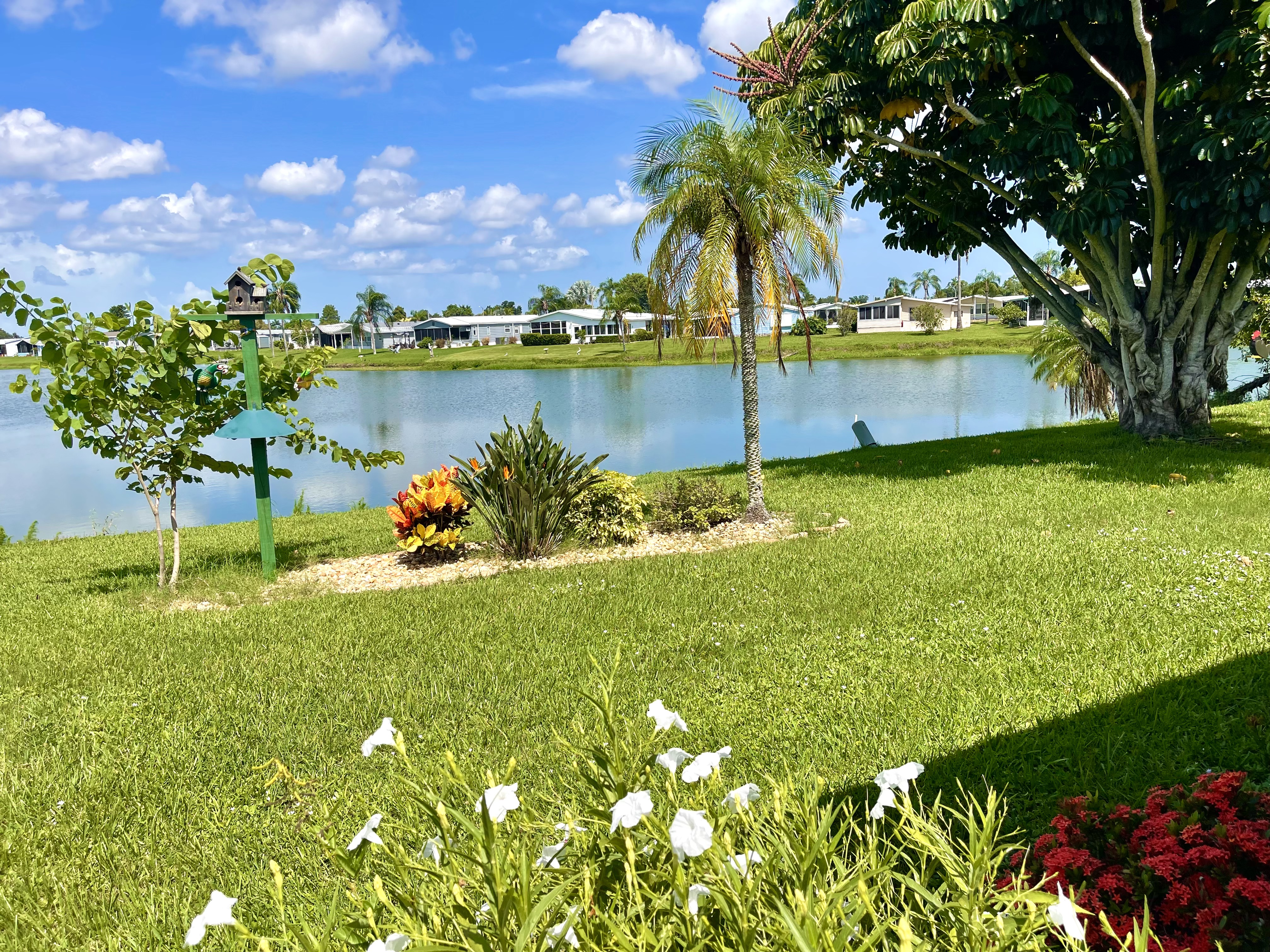 4019 Lemonwood Drive, Ellenton, Florida 34222, 3 Bedrooms Bedrooms, ,2 BathroomsBathrooms,55-Plus Mobile Home,For Sale,Lemonwood Drive,5101