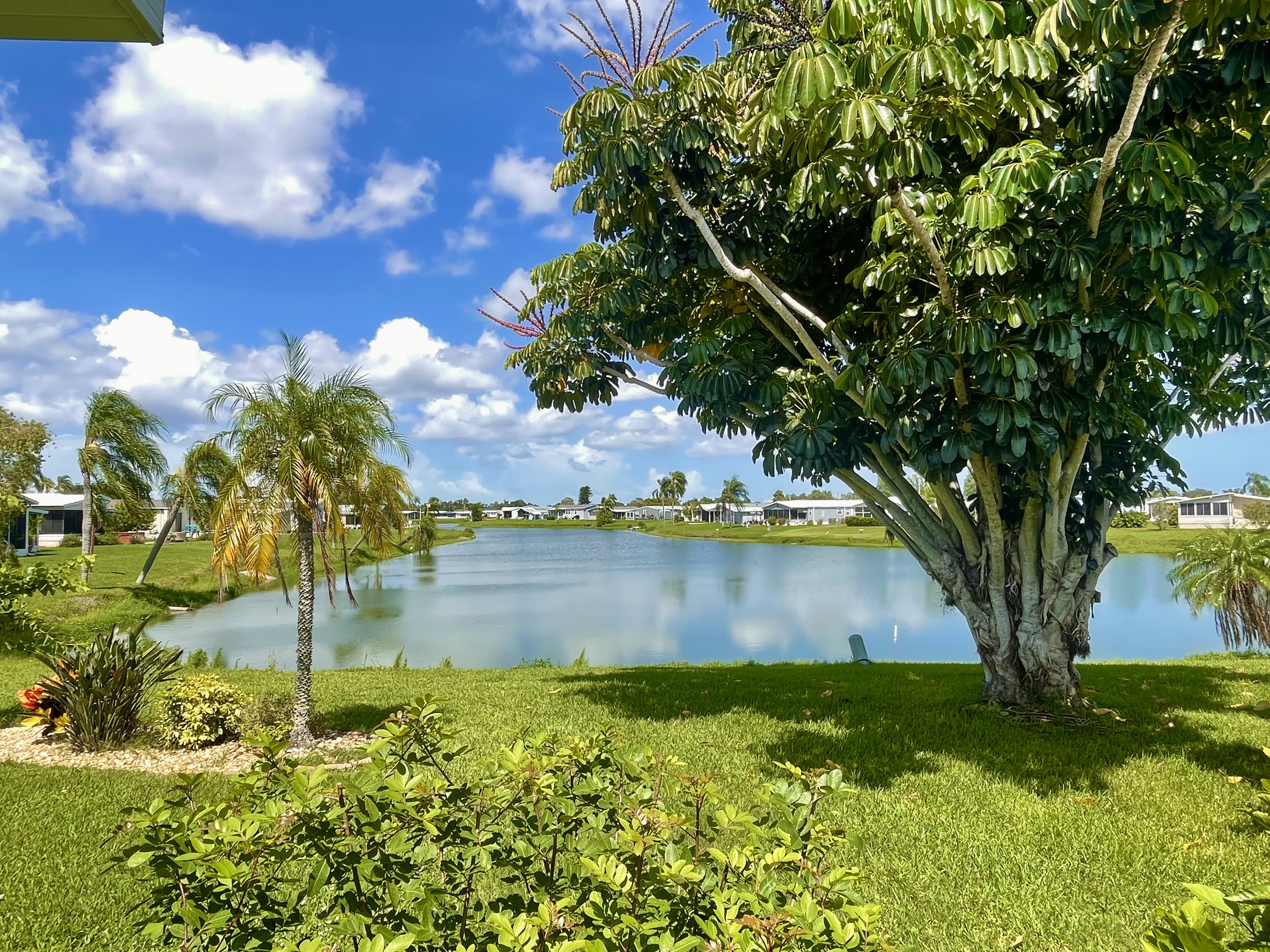 4019 Lemonwood Drive, Ellenton, Florida 34222, 3 Bedrooms Bedrooms, ,2 BathroomsBathrooms,55-Plus Mobile Home,For Sale,Lemonwood Drive,5101