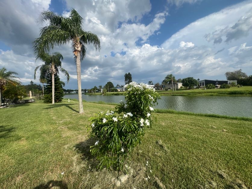 37901 Lake Gilbert Circle, Dade City, Florida 33525, 3 Bedrooms Bedrooms, ,2 BathroomsBathrooms,55-Plus Mobile Home,For Sale,Lake Gilbert Circle,5125